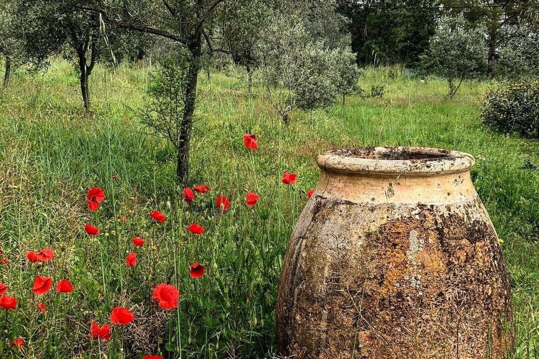Photo of Outdoor in Fayence