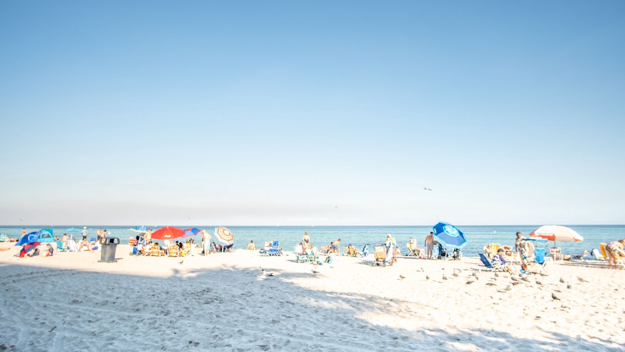Photo of Others in Sunny Isles Beach