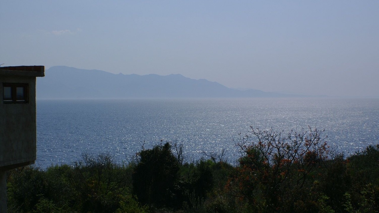 Photo of Others in Podaca