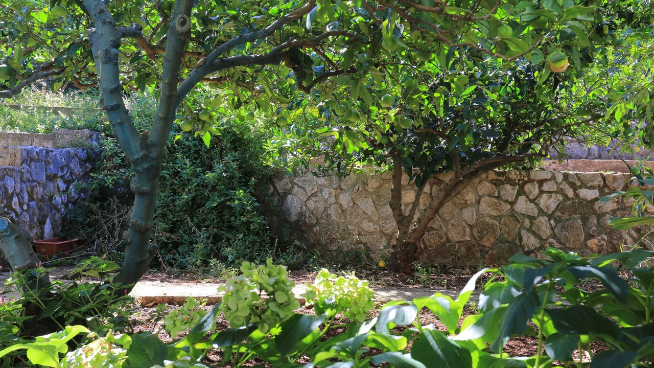 Photo of Others in Slatine