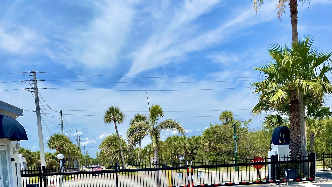 Photo of Others in Port Canaveral