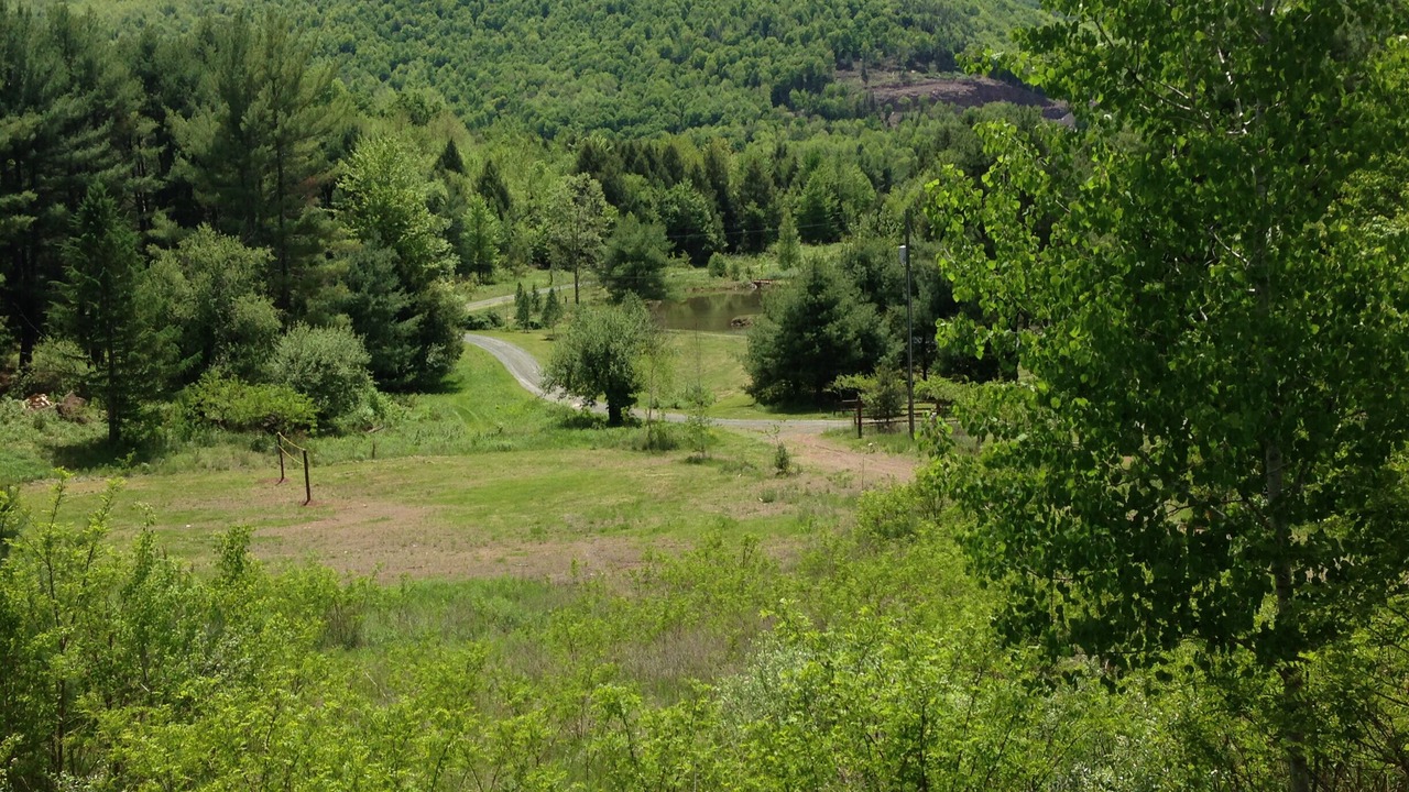 Photo of Others in Windham