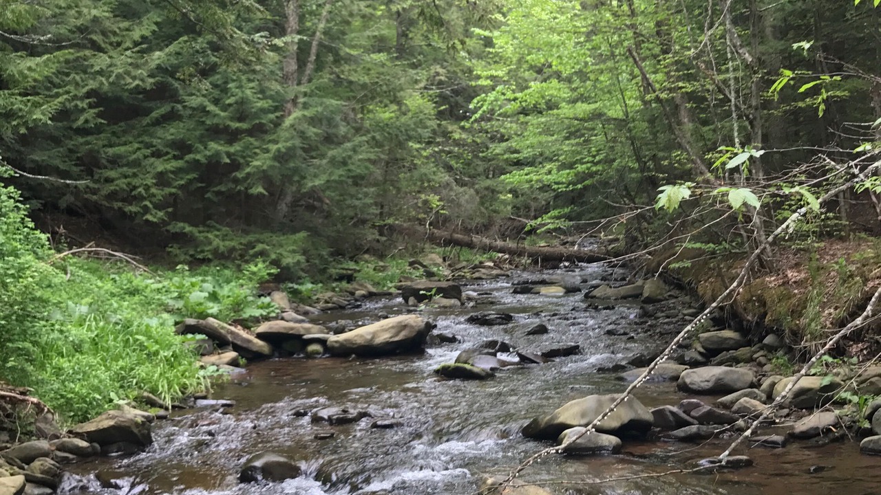 Photo of Others in Windham