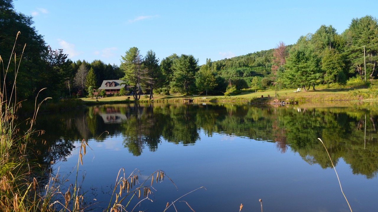 Photo of Others in Windham