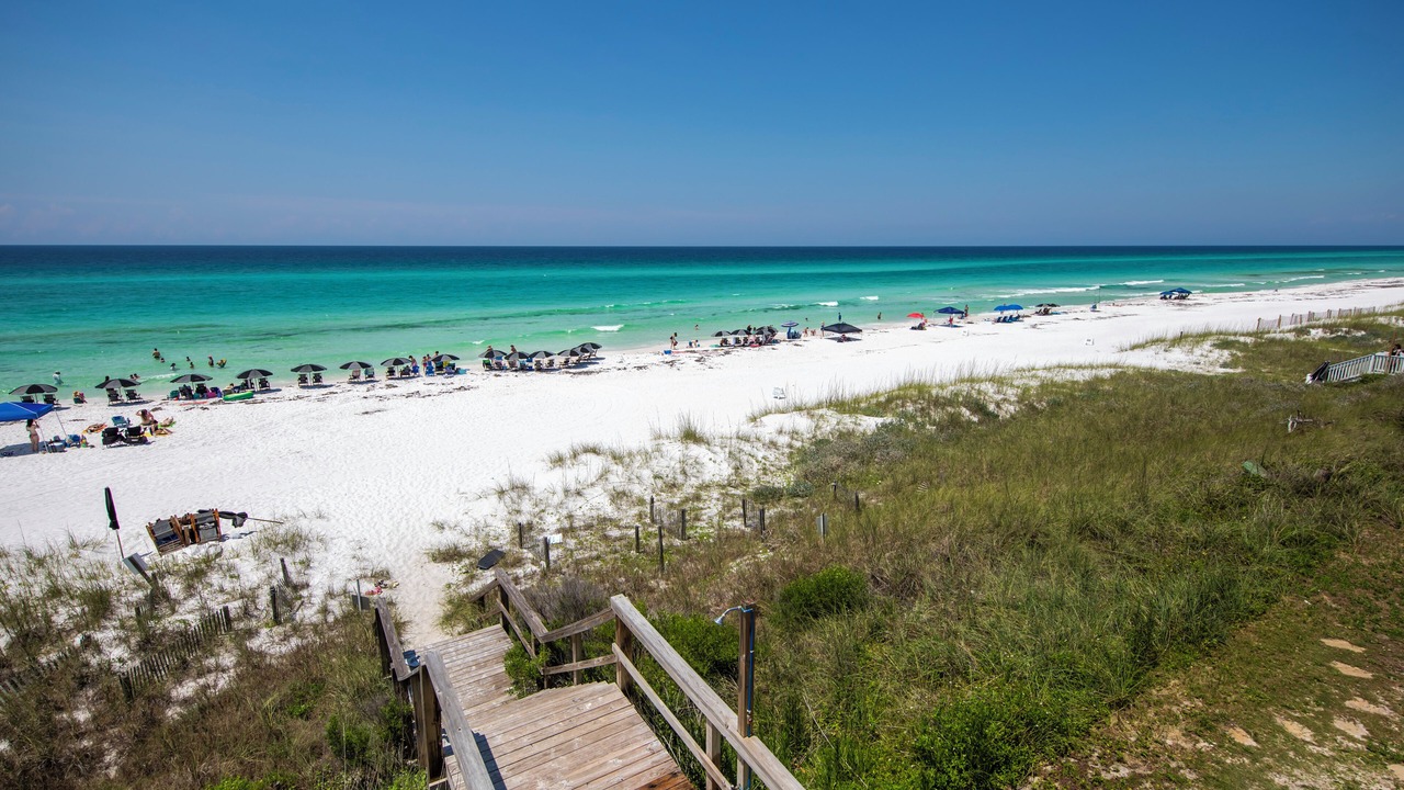 Photo of Others in Dune Allen Beach