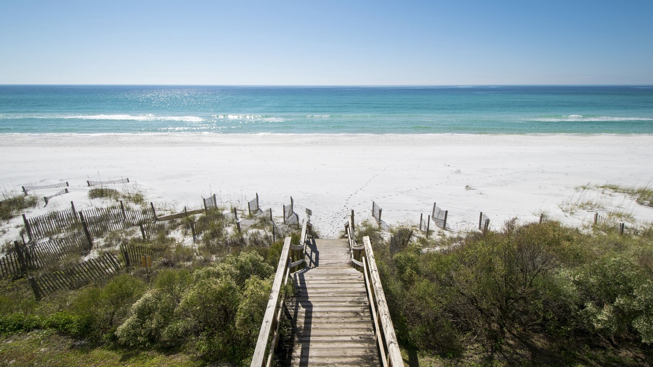 Photo of Others in Dune Allen Beach