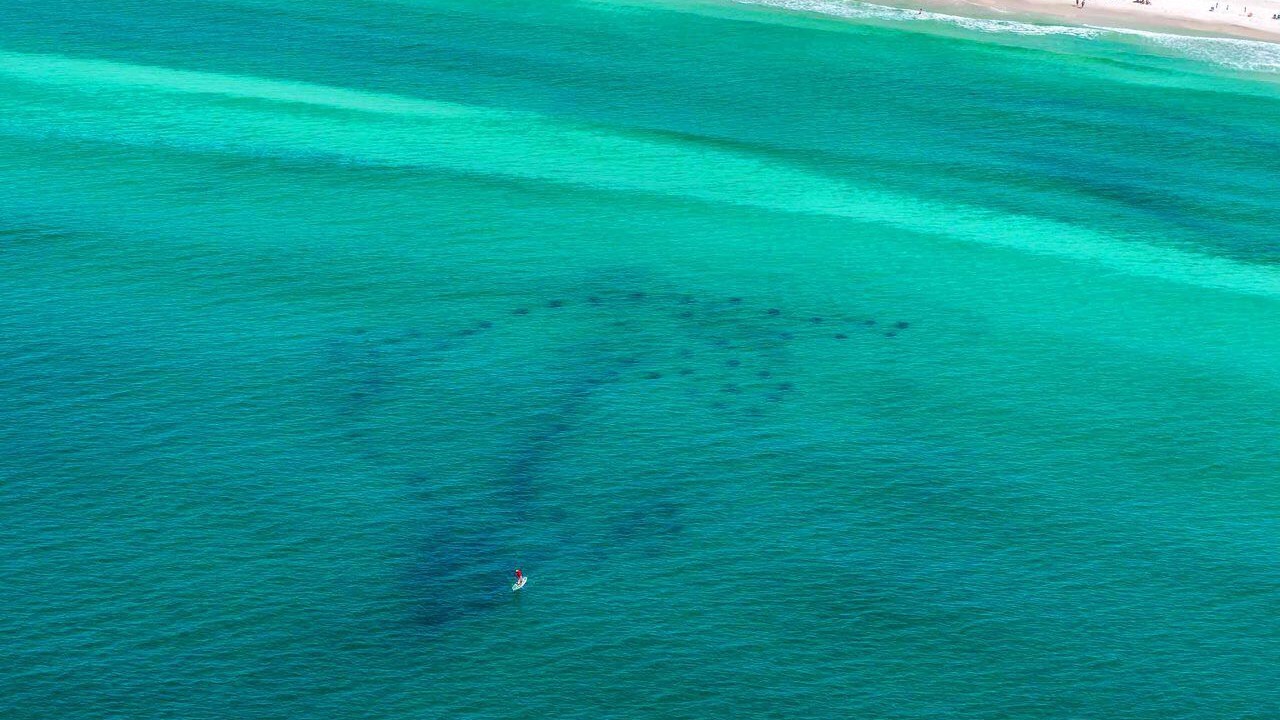 Photo of Others in Crystal Beach