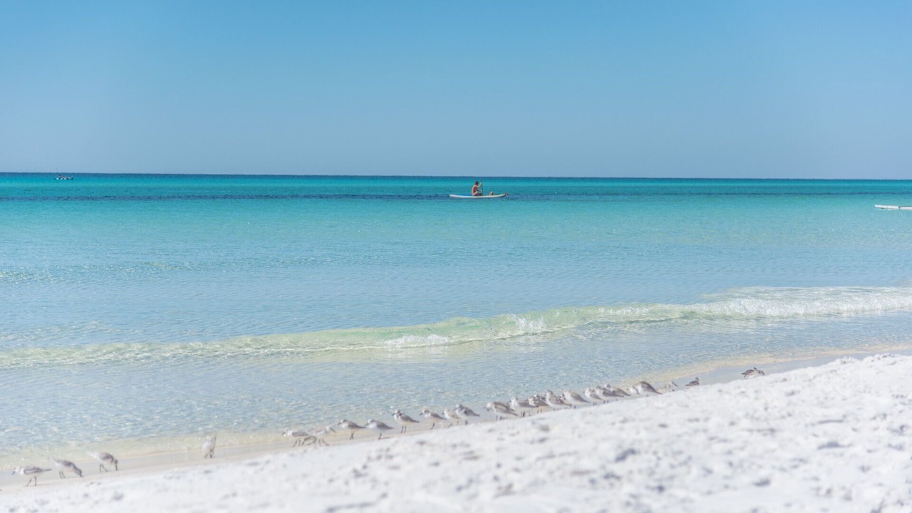 Photo of Others in Dune Allen Beach