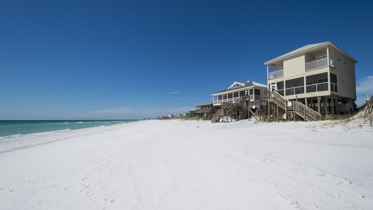 Photo of Others in Dune Allen Beach