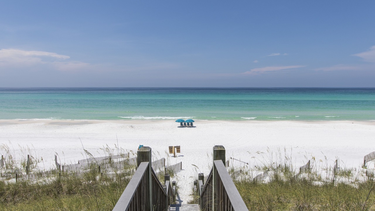 Photo of Others in Dune Allen Beach