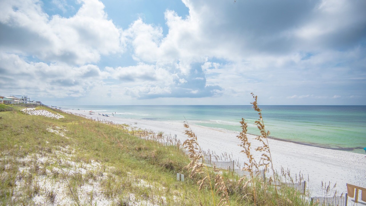 Photo of Others in Dune Allen Beach