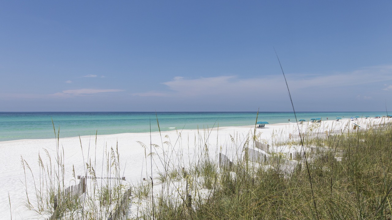 Photo of Others in Dune Allen Beach