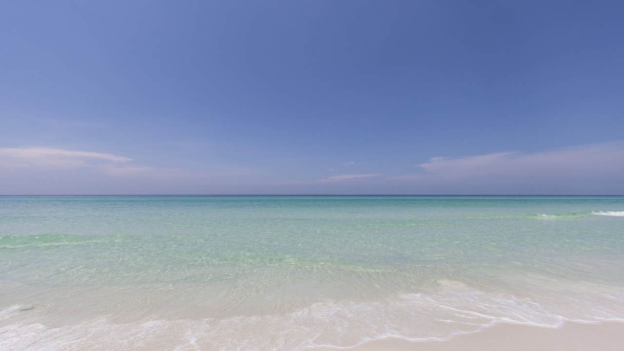 Photo of Others in Dune Allen Beach