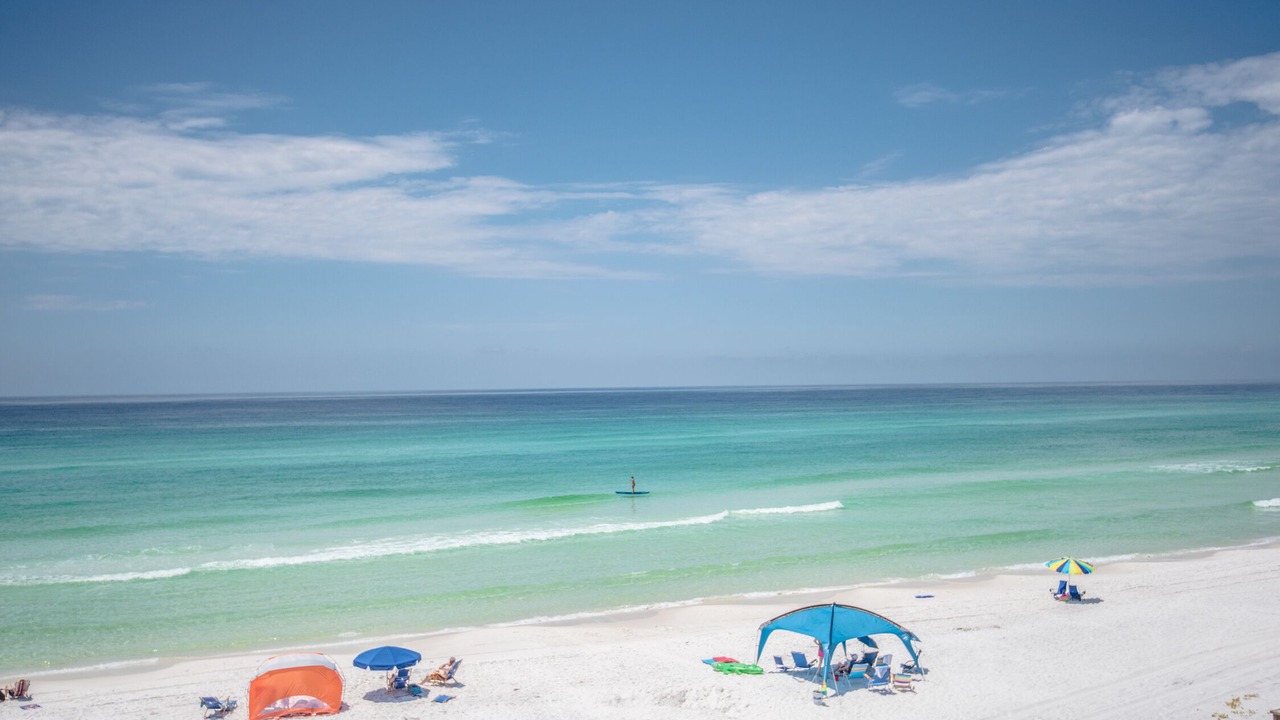 Photo of Others in Dune Allen Beach