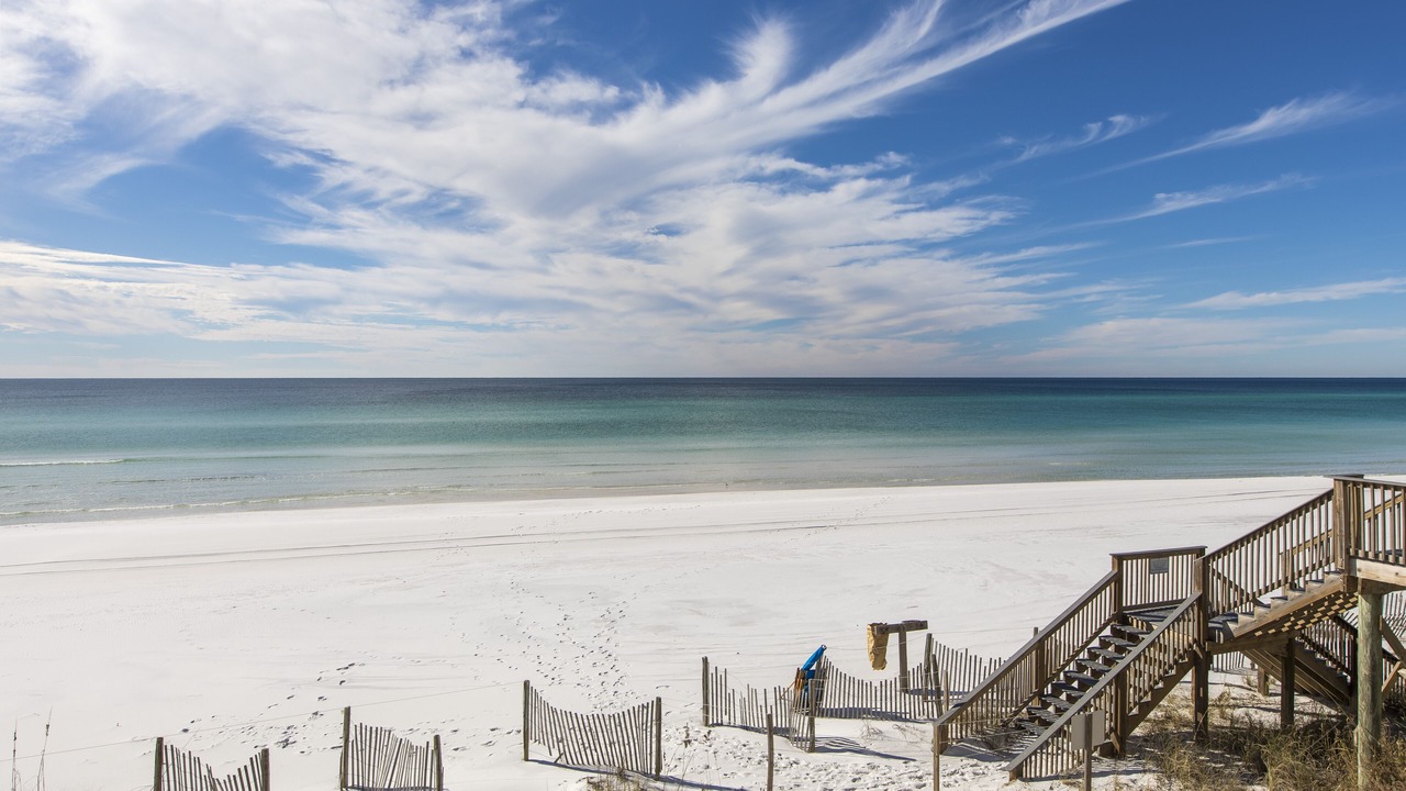 Photo of Others in Dune Allen Beach