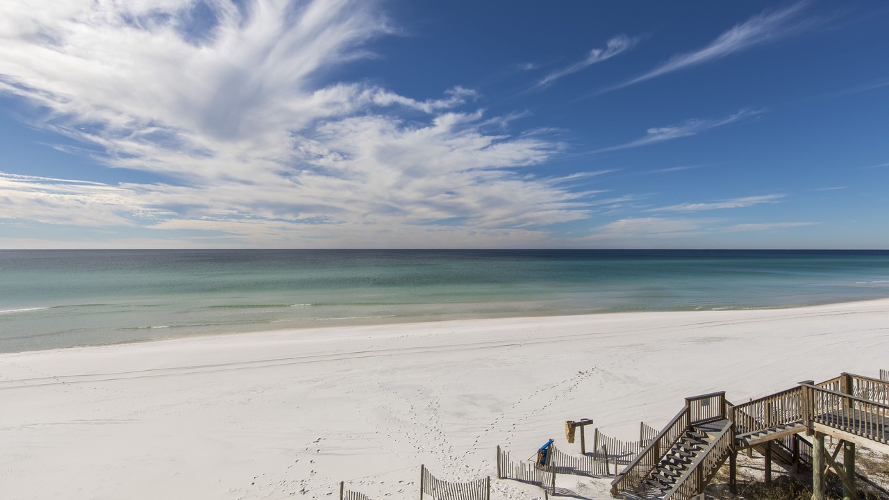 Photo of Others in Dune Allen Beach