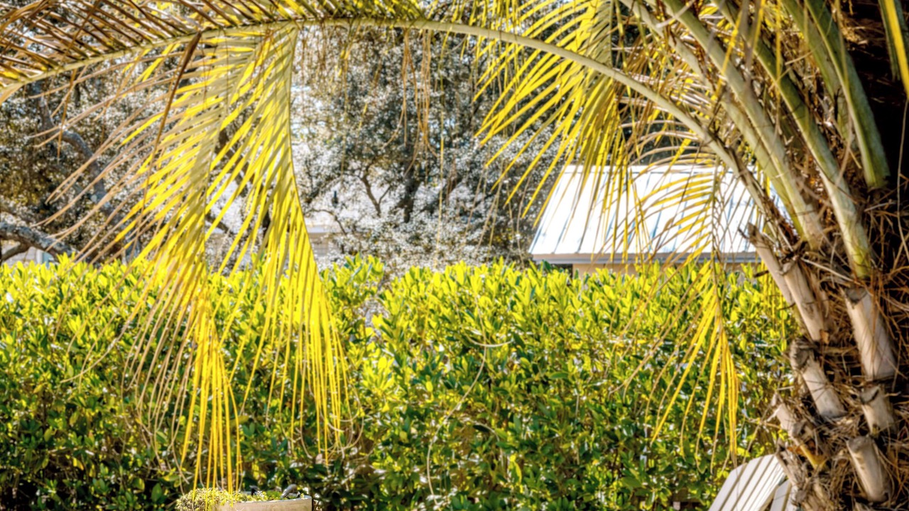 Photo of Outdoor in Grayton Beach