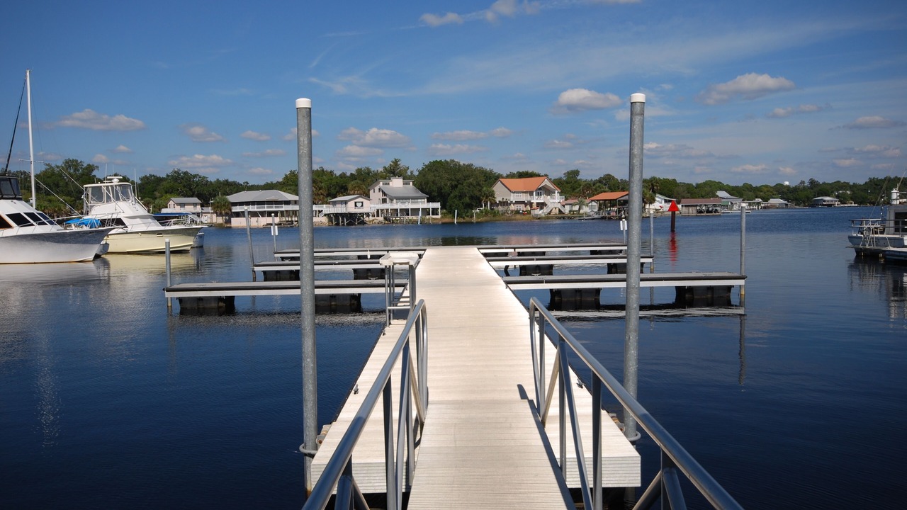 Photo of Others in Steinhatchee