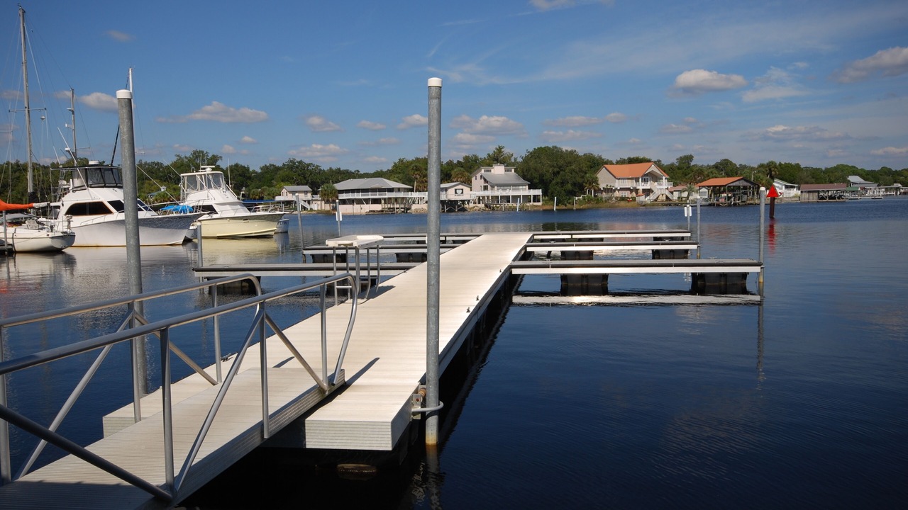 Photo of Others in Steinhatchee
