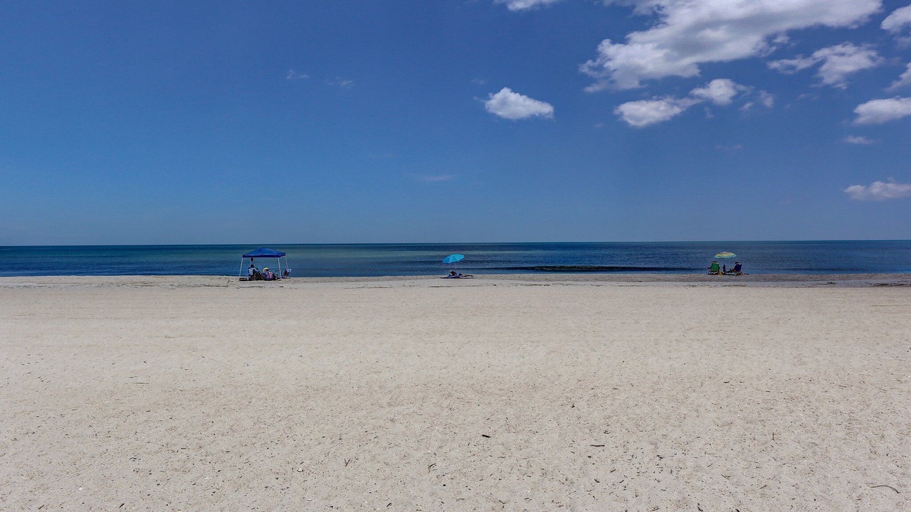 Photo of Others in Ocean Cay