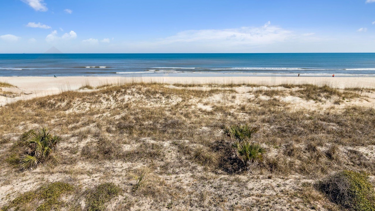 Photo of Others in Ocean Cay