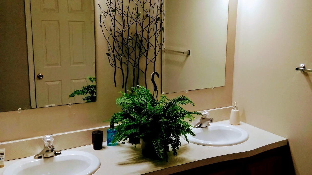 Photo of Bathroom in Westfield