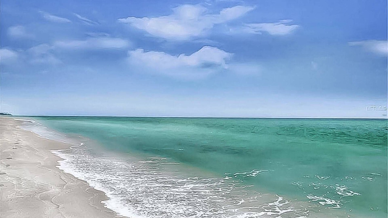 Photo of Others in Saint Armands Key