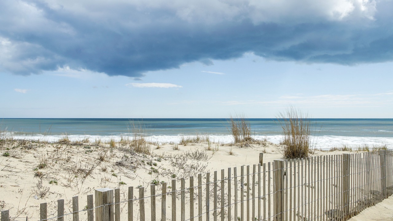 Photo of Others in Midtown Ocean City