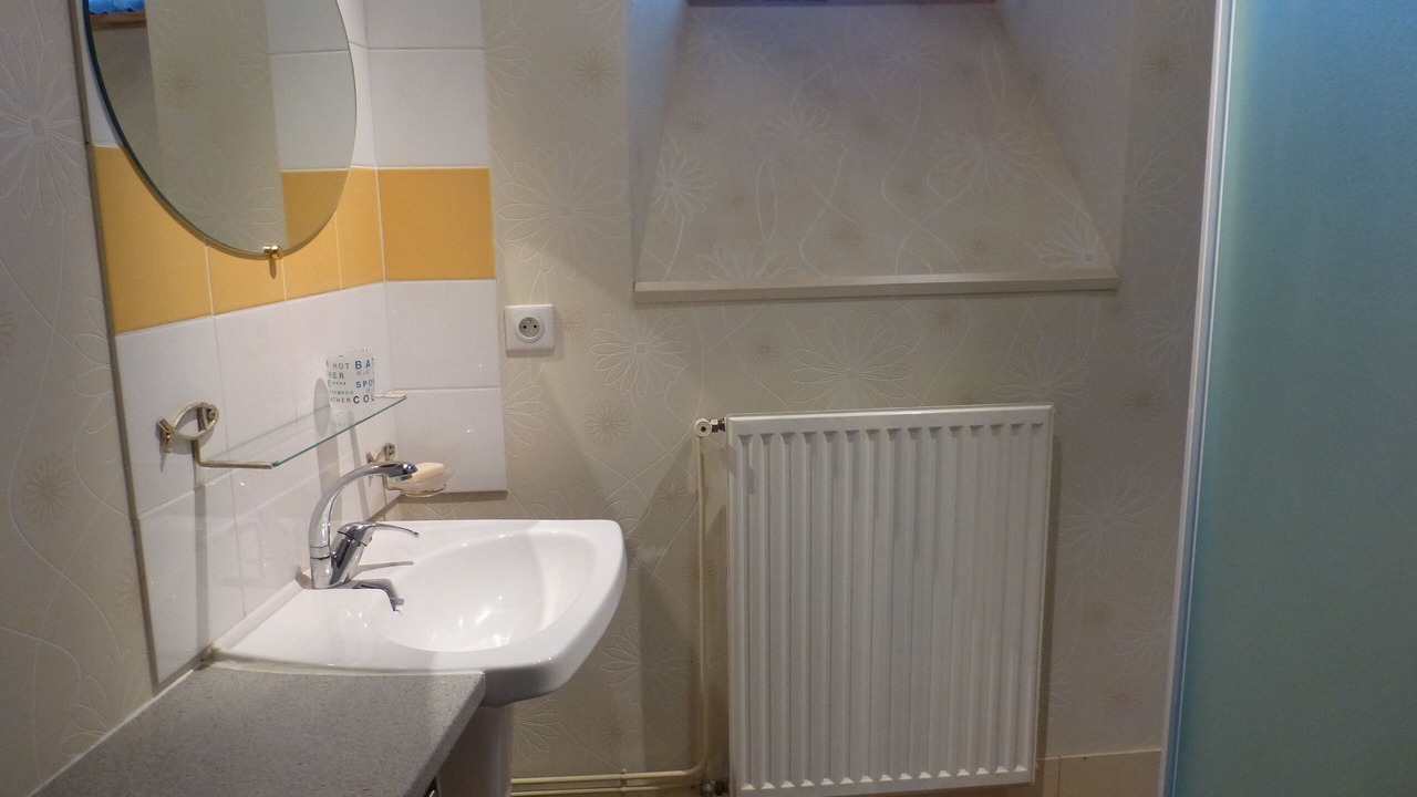 Photo of Bathroom in Lanvallay