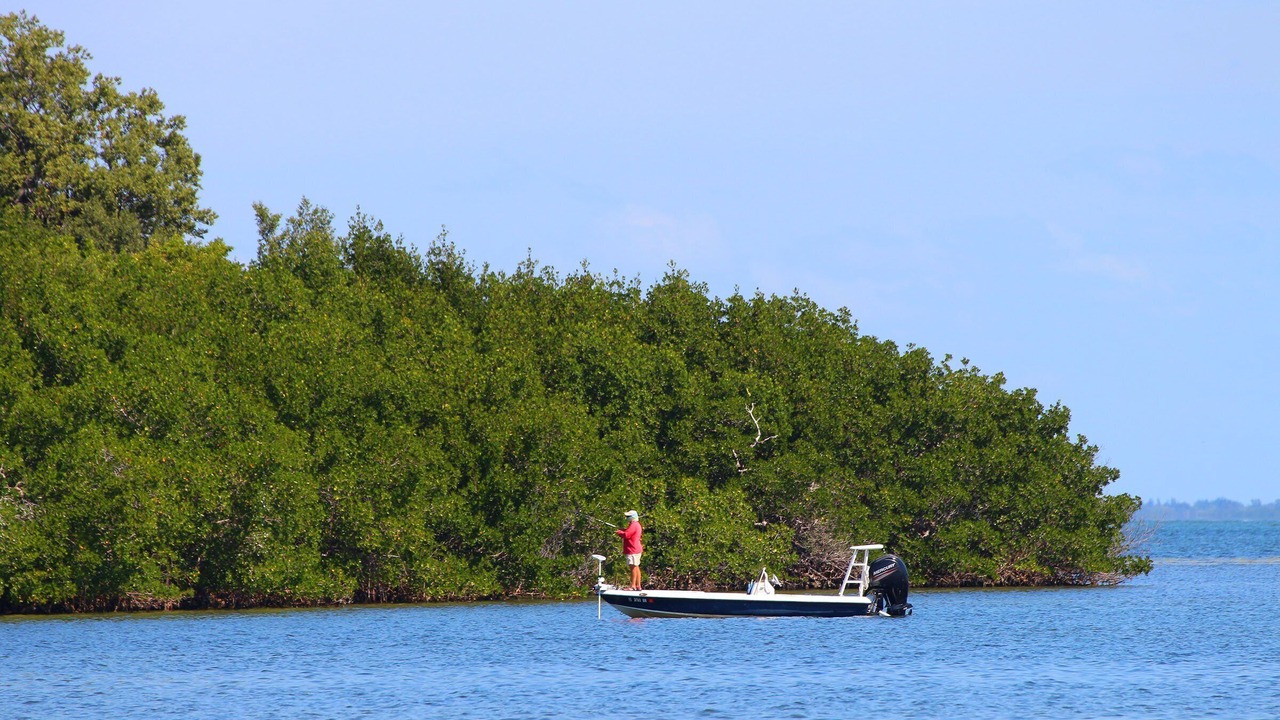 Photo of Others in Sanibel