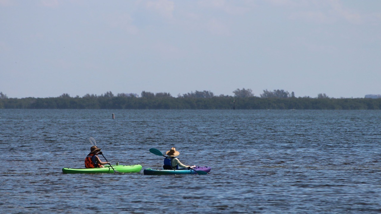 Photo of Others in Sanibel