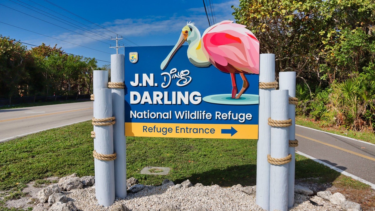 Photo of Outdoor in Sanibel