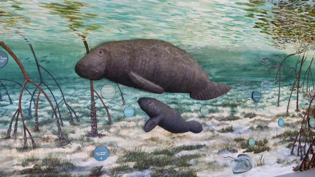 Photo of Others in Sanibel