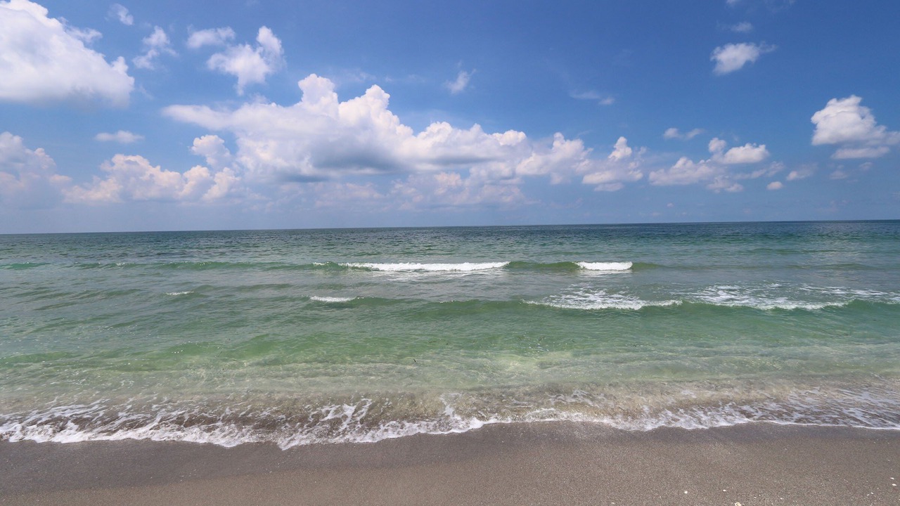 Photo of Others in Sanibel