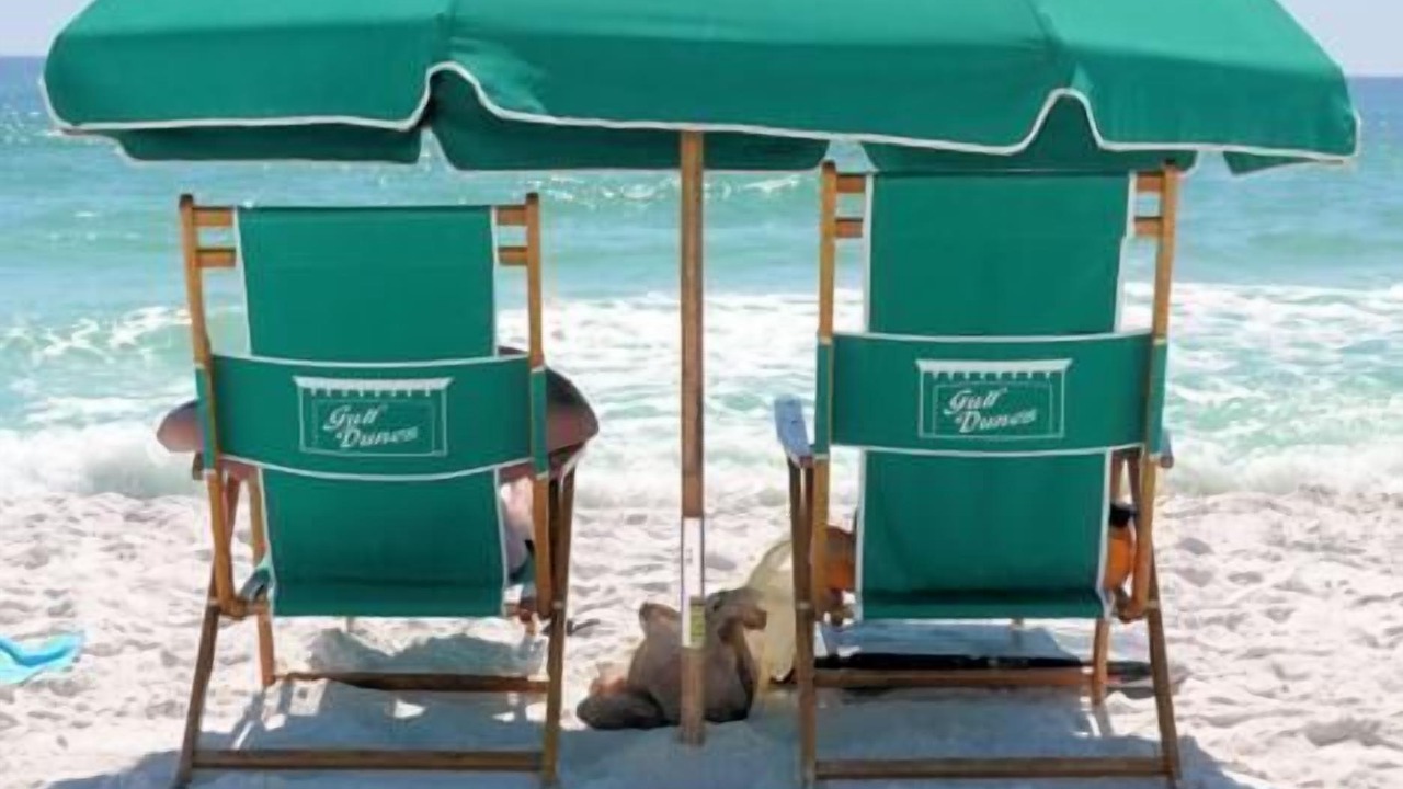 Photo of Others in Fort Walton Beach