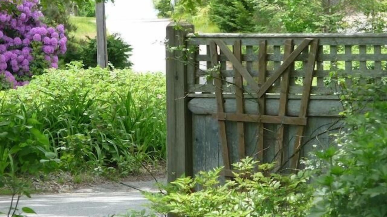 Photo of Others in South Chatham