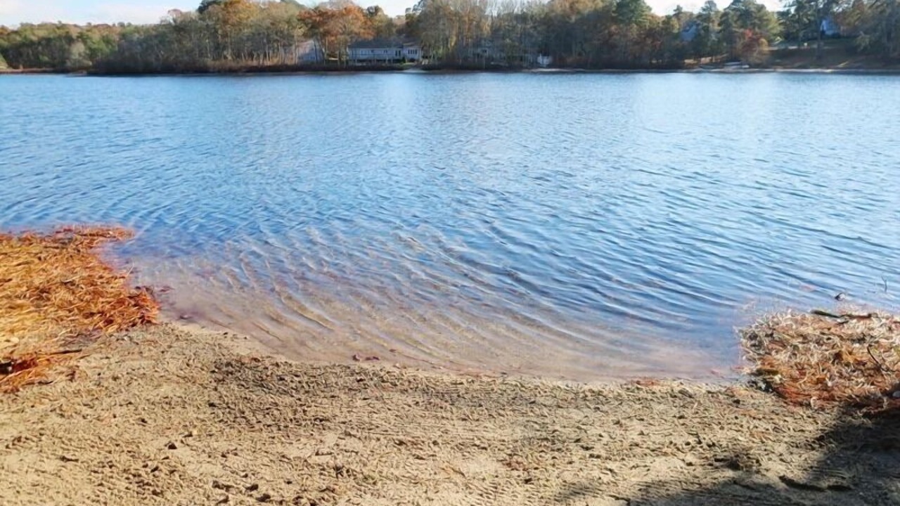 Photo of Others in Harwich