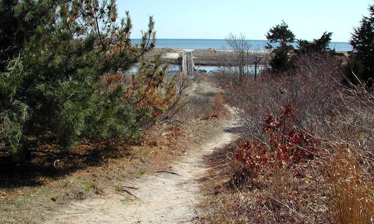Photo of Outdoor in West Chatham