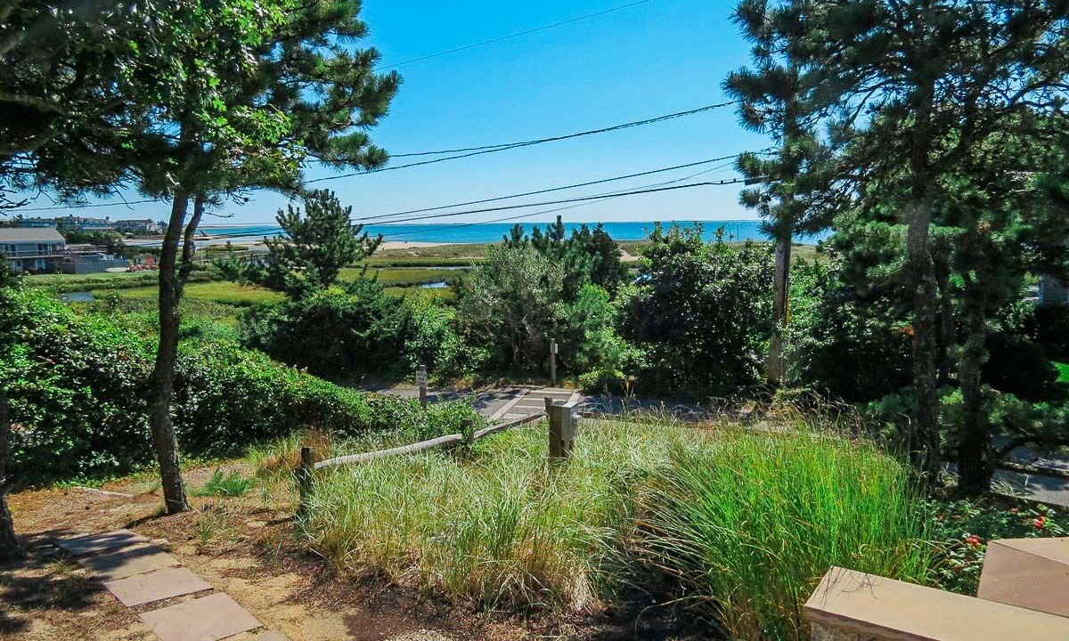 Photo of Outdoor in West Chatham