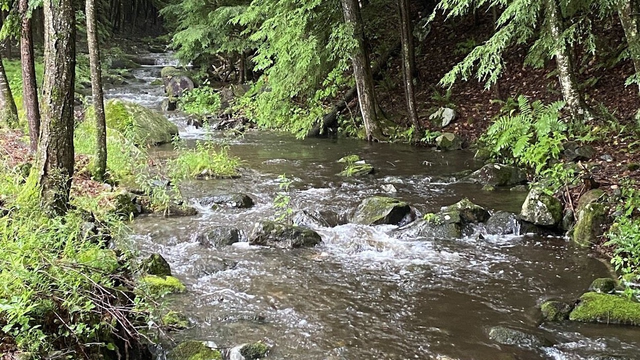 Photo of Outdoor in Clemons