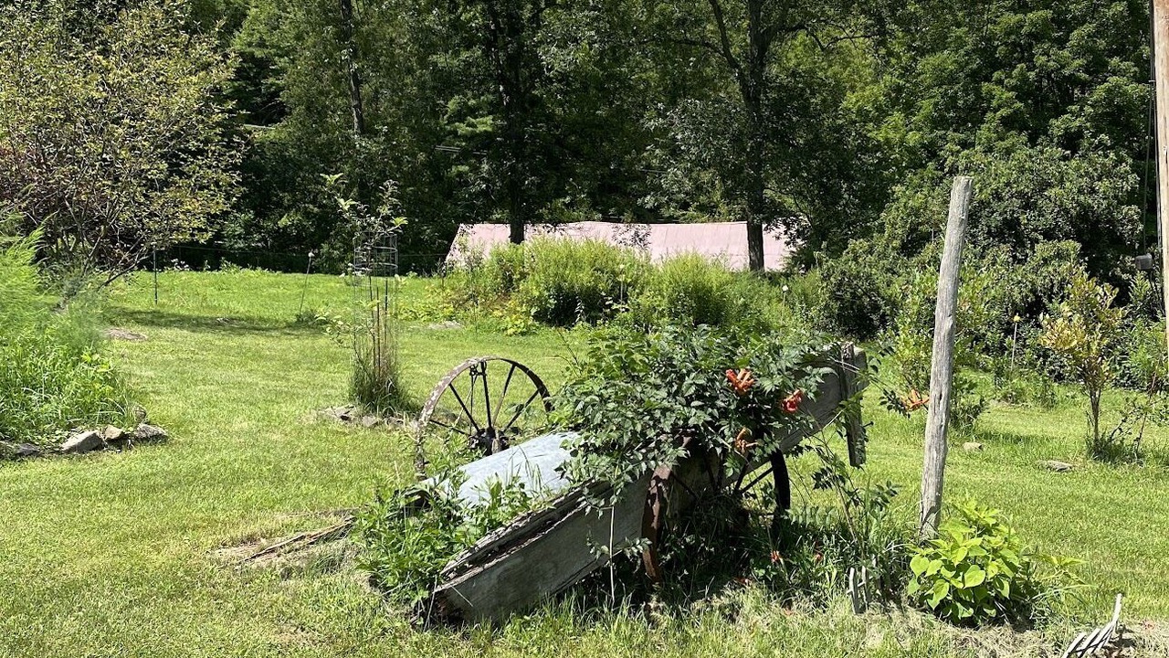 Photo of Outdoor in Clemons