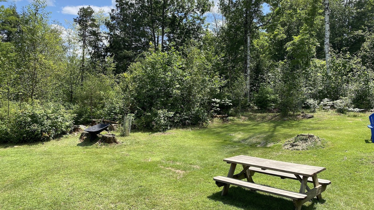 Photo of Outdoor in Clemons