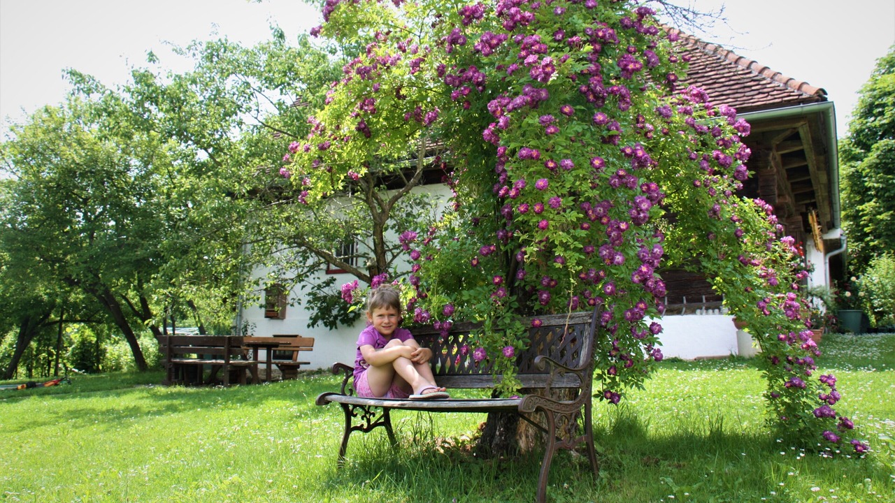 Photo of Outdoor in Harrachberg