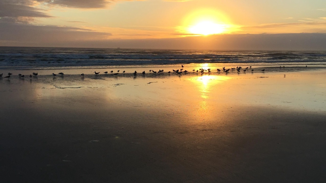 Photo of Others in Butler Beach