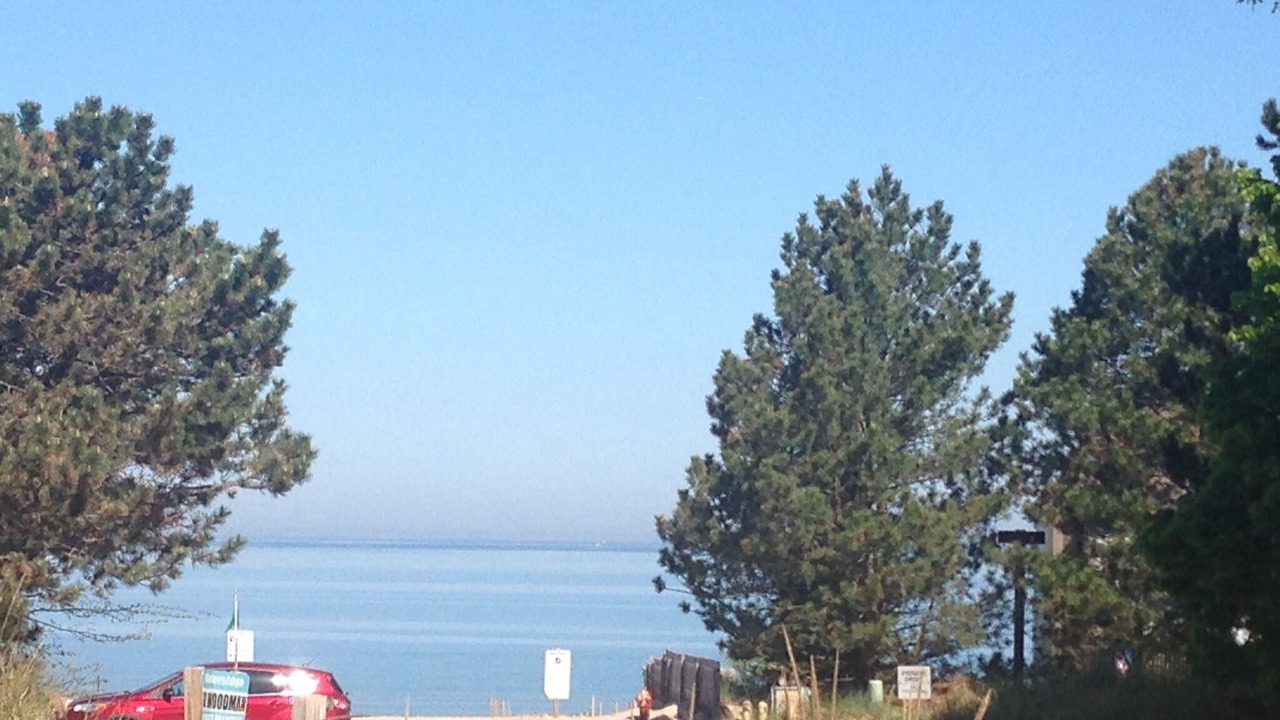 Photo of Others in South Haven