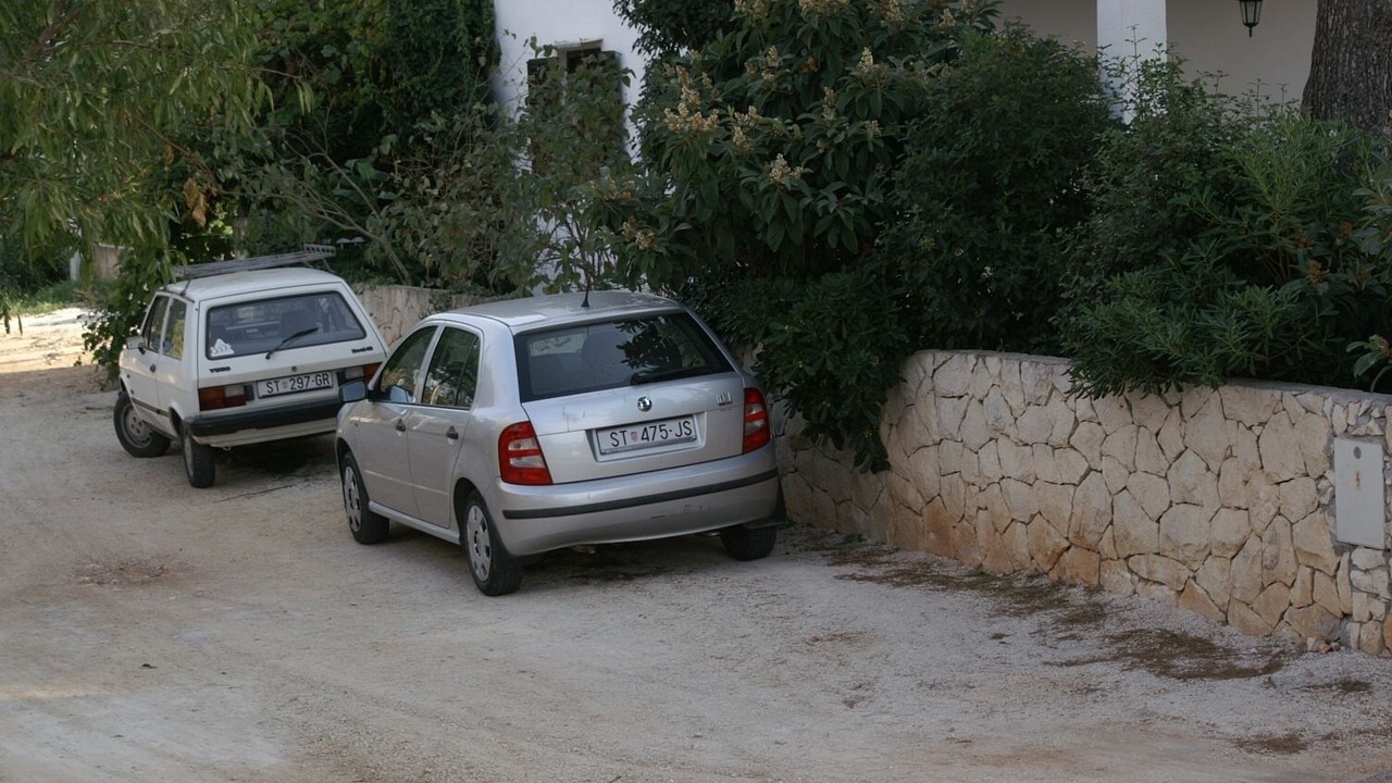 Photo of Others in Mirce