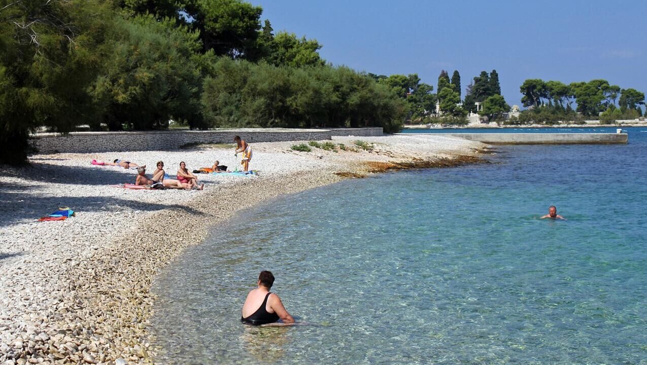 Photo of Others in Mirce