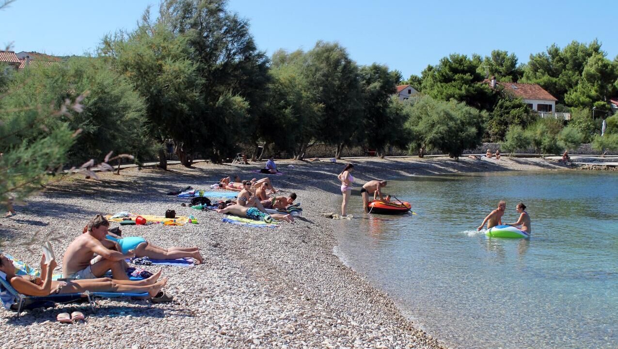 Photo of Others in Mirce