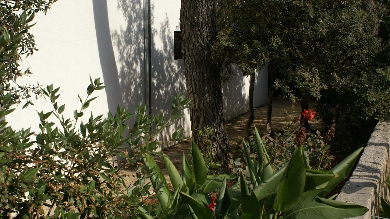 Photo of Outdoor in Mirce
