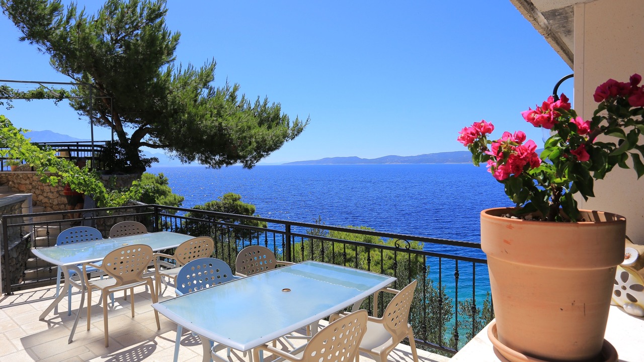 Photo of Outdoor in Medici